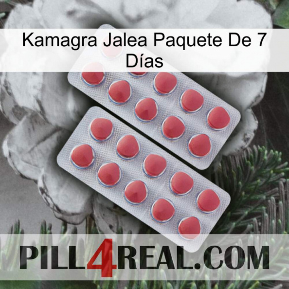 Kamagra Jalea Paquete De 7 Días 19.jpg